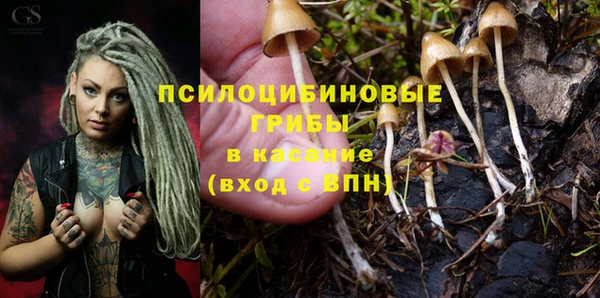 гашиш Карпинск