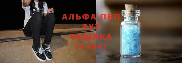 сатива Каменск-Шахтинский