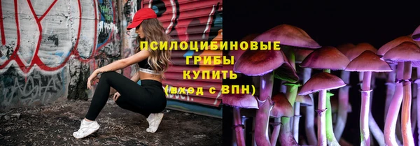 спиды Карталы